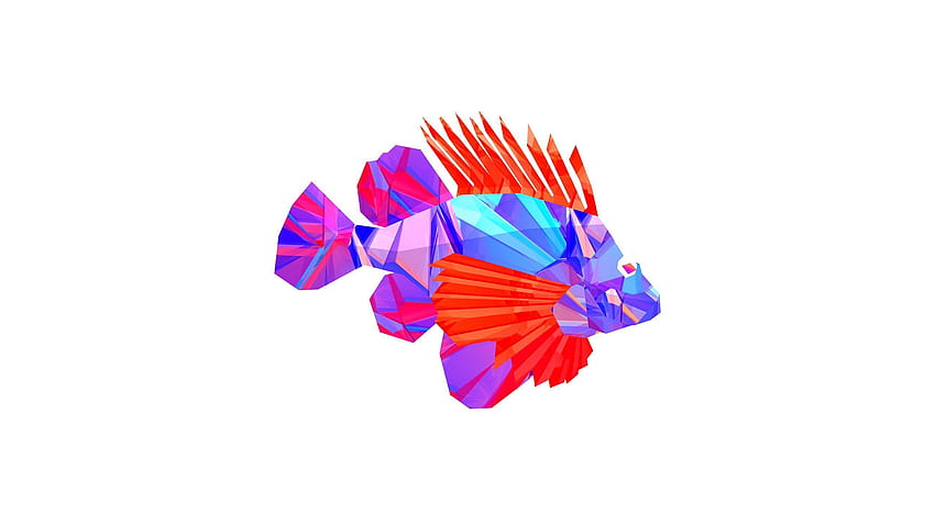 animais abstratos peixes vetores arte digital Justin Maller [2560x1440] para seu, Celular e Tablet papel de parede HD