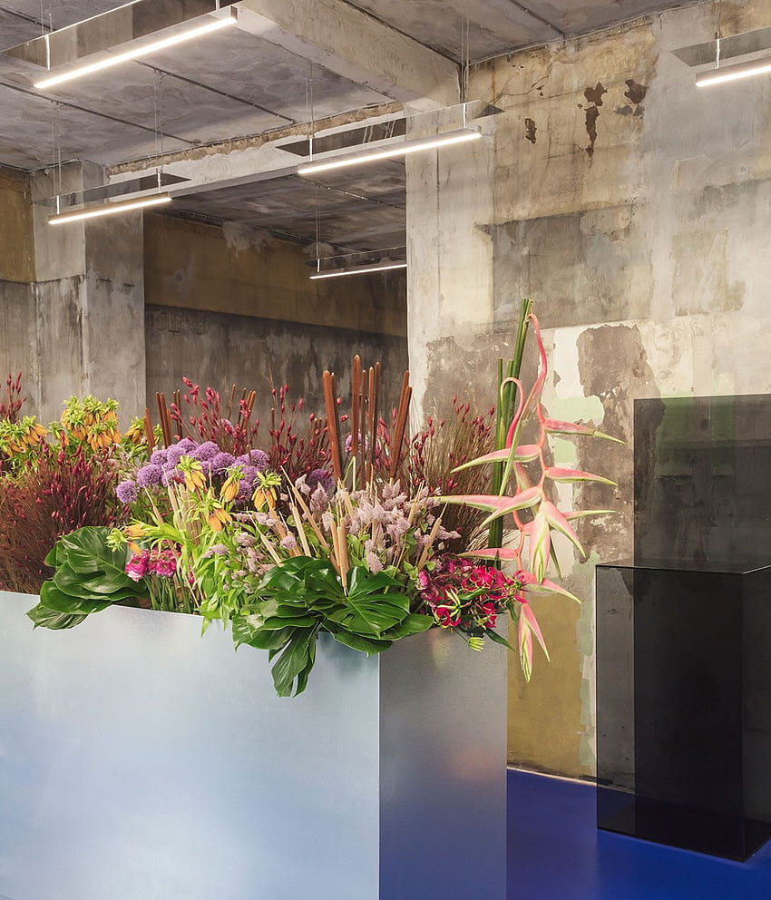 An architectural flower shop Tableau opens in Copenhagen HD phone wallpaper