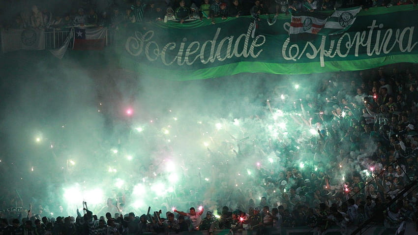 Sociedade Esportiva Palmeiras HD-Hintergrundbild