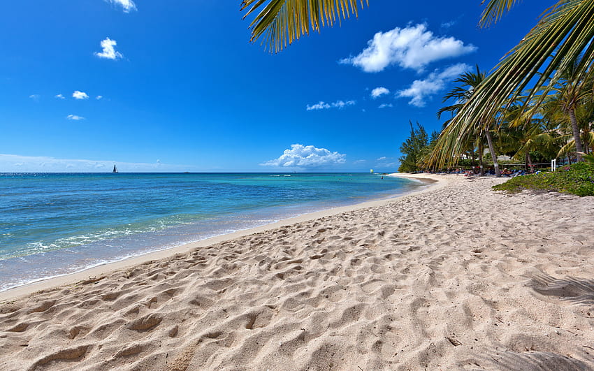ilha tropical, praia, verão, oceano, lagoa azul, areia, veleiro no mar com resolução 2880x1800. Alta qualidade, mar de verão papel de parede HD