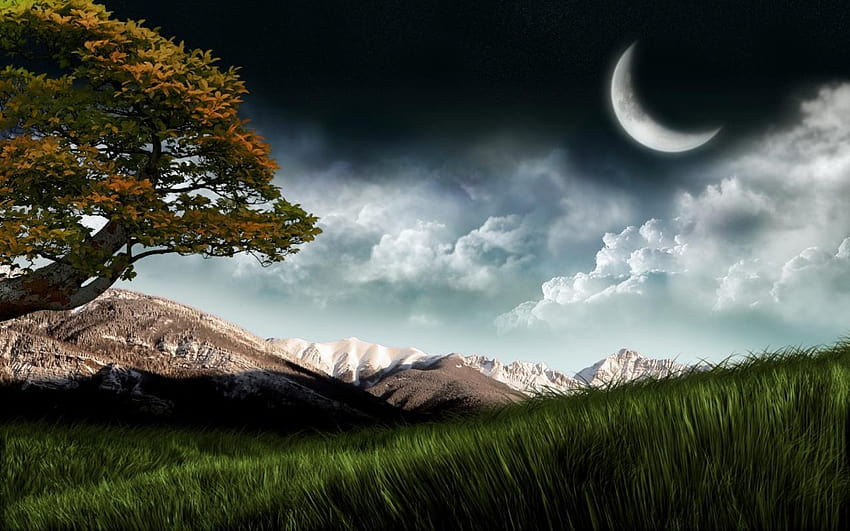 New : Beautiful Good night Nature HD wallpaper