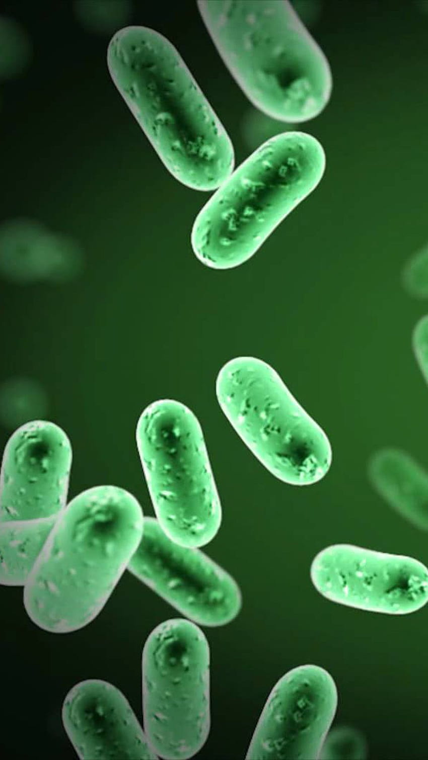 6 Бактерии, микроби HD тапет за телефон