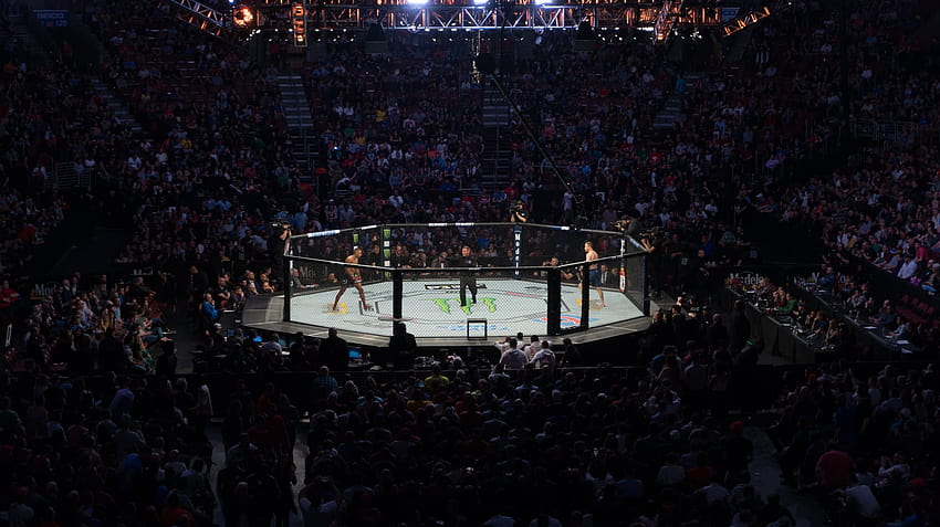 UFC 256: Tony Ferguson, Charles Oliveira'ya Karşı Önizleme ve Seçim, ufc sekizgen HD duvar kağıdı