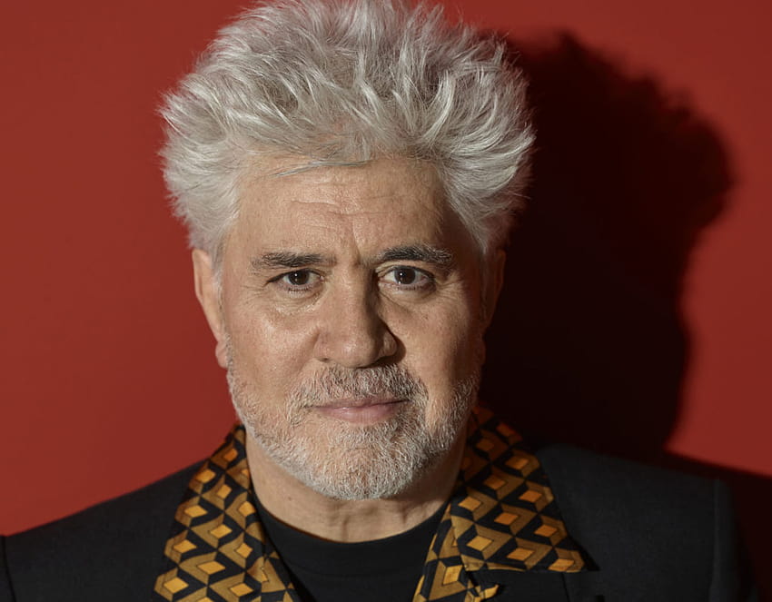 I Wouldn't Be Offended if You Described It as Decorative Art:' Filmmaker Pedro Almodóvar on Why He's a Floral Still, almodovar HD wallpaper