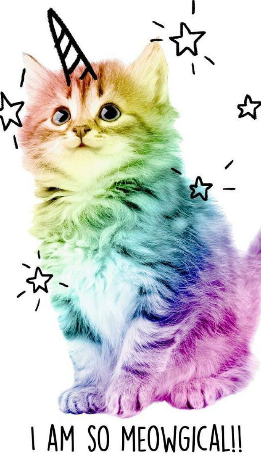 Rainbow Kitten pubblicato da Michelle Walker, gatti arcobaleno Sfondo del telefono HD