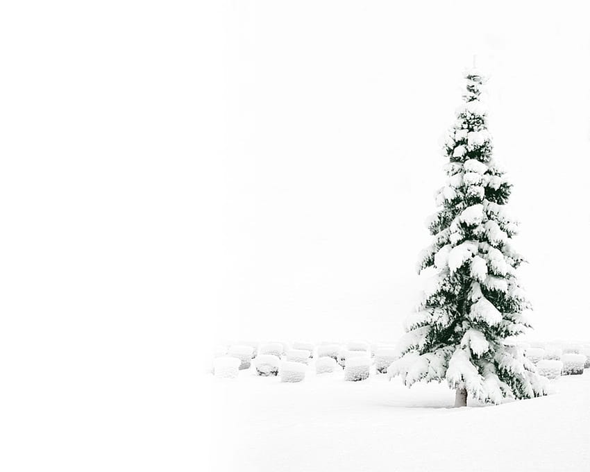 Снежно коледно дърво – Весели празнични фонове, снежни коледни елхи HD тапет