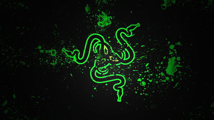 Razer Backgrounds, background razer HD wallpaper | Pxfuel