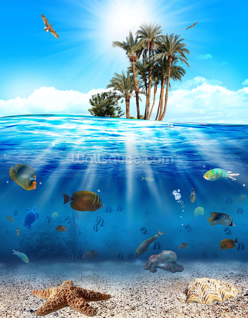 underwater ocean scene