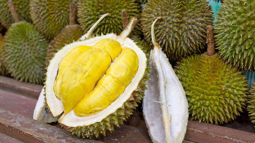 Durian Fruit HD wallpaper