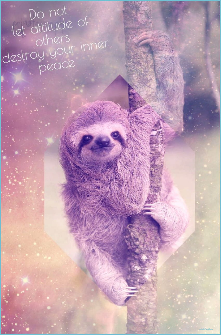 12 Hal yang Tidak Anda Ketahui Tentang Cute Sloth, kemalasan lucu wallpaper ponsel HD