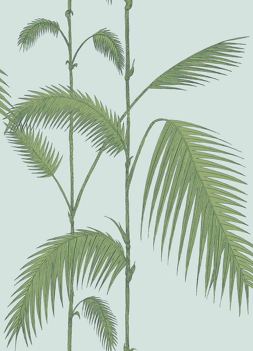 Liście palmowe, liście palmowe Tapeta na telefon HD