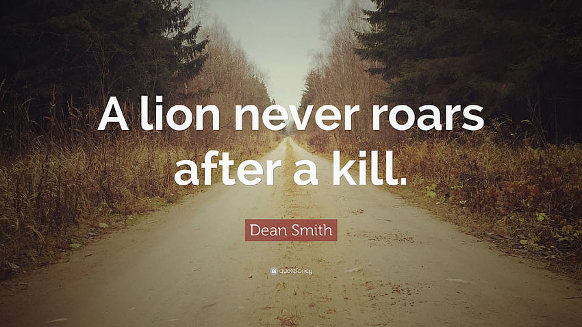 ディーン・スミスの言葉: 「ライオンは、殺した後にほえることはありません。」、ライオンの言葉 高画質の壁紙