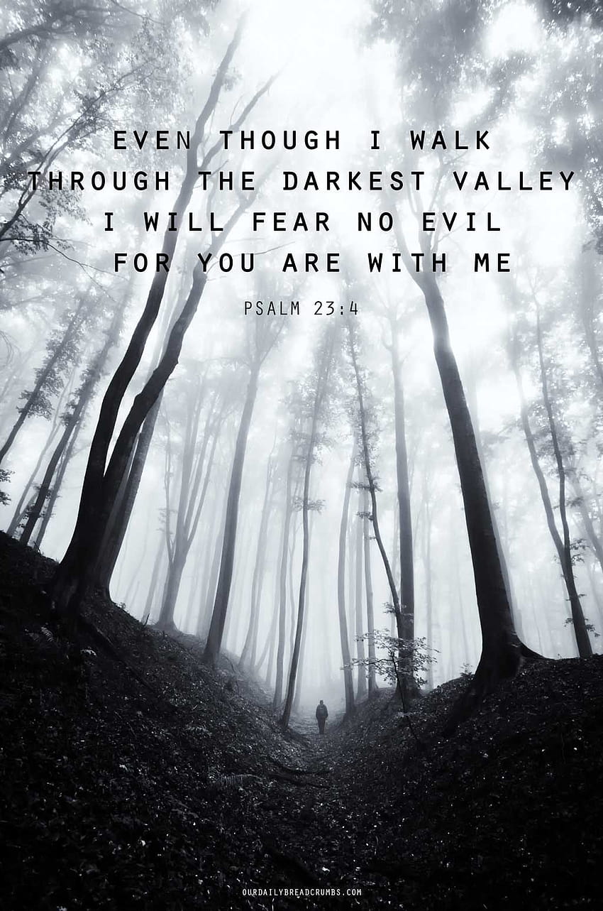 Psalms 234 KJV Mobile Phone Wallpaper  Yea though I walk through the  valley of the
