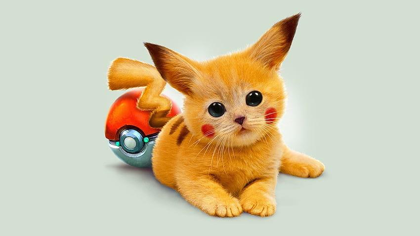 Real Pokemon posted by Ethan ...cute, real life pokemon HD wallpaper