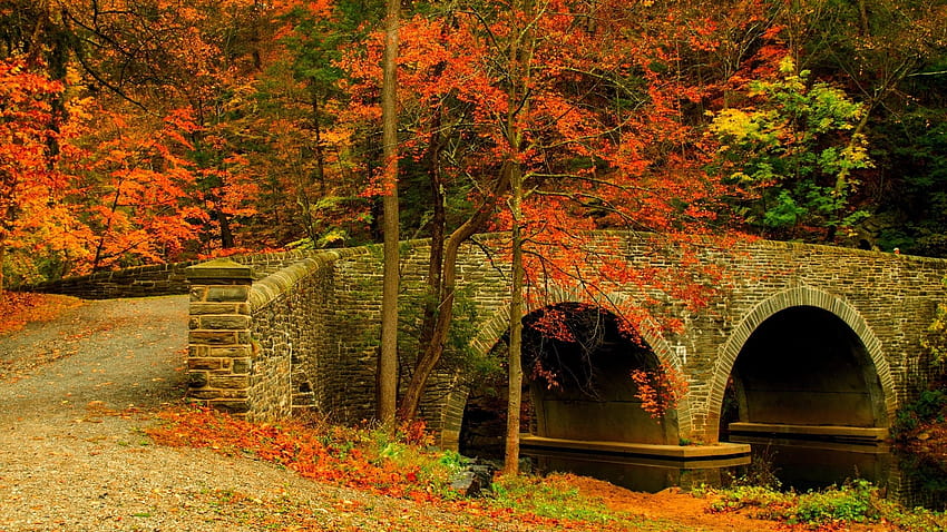 Autumn, Park Road, Path, Love Smell, Bridge, autumn bridge and trees HD wallpaper