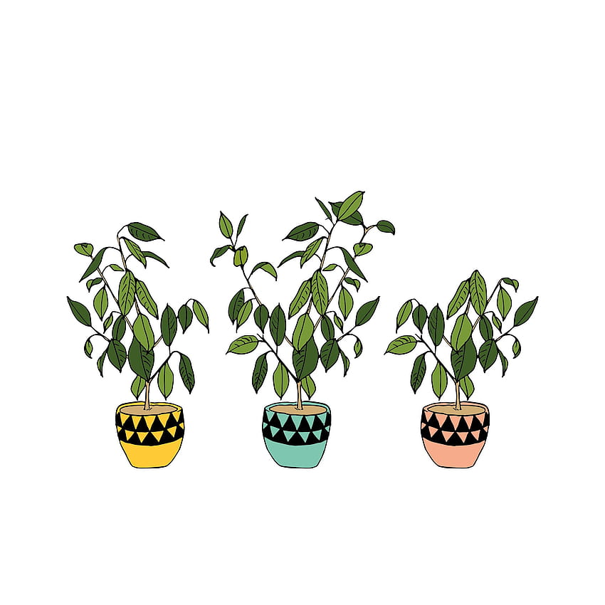 Set of house plants. Collection of potted plants outline in linear drawing  style. Vector illustration isolated on white background 5550889 Vector Art  at Vecteezy