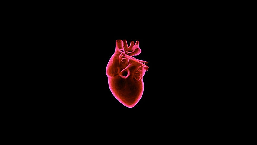 Heart Medical C, medical heart HD wallpaper