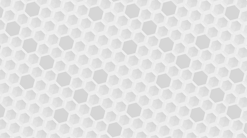 hive, Honeycombs, Hexagon, Bright, White, Simple / and Mobile Backgrounds, bright white HD wallpaper