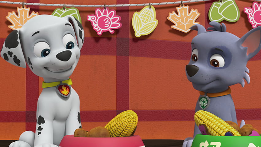 UPDATED: Customizable Zoom Backgrounds, paw patrol 2021 HD wallpaper