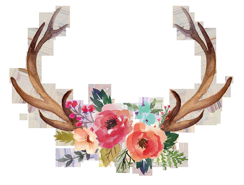 ウォータースライダーのアシュリー・ギャレットソン、花と鹿の角 高画質の壁紙