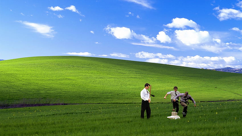 Office Space Windows XP bliss HD wallpaper