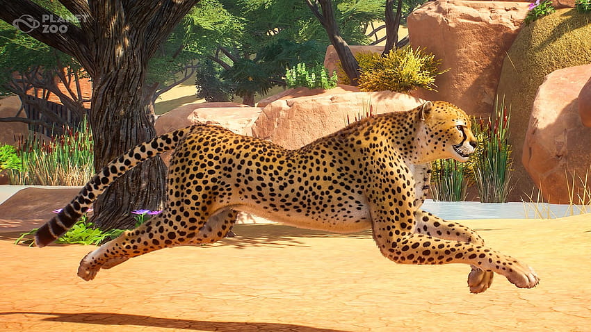 Planet Zoo Update 1.1.2 Is Live, Various Bug Fixes, planet zoo 2020 HD wallpaper