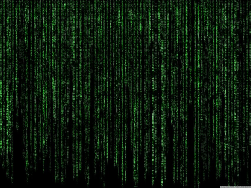 Matrix Code, matrix rain HD wallpaper | Pxfuel
