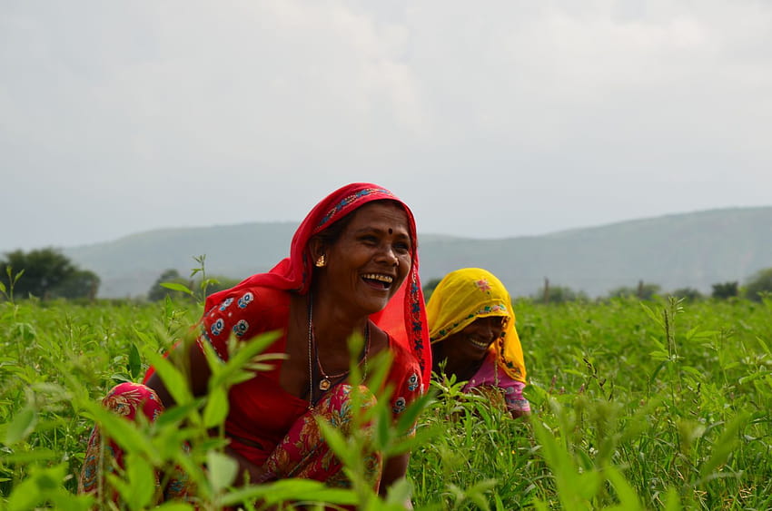 Индийски фермер, жени фермер HD тапет
