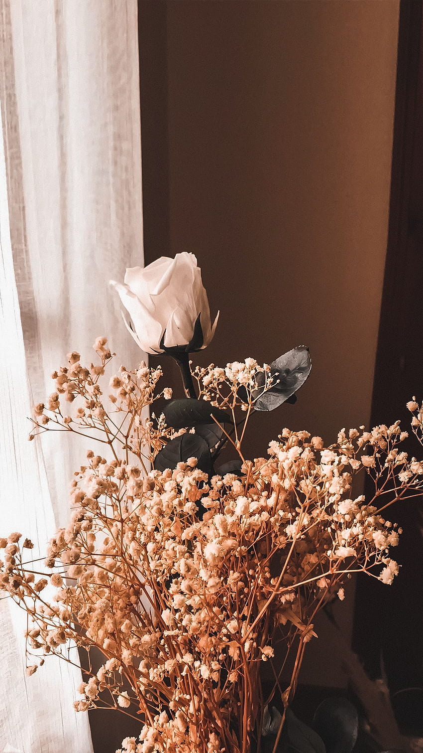flowersbackgroundiphone, flowers peach, aesthetic brown HD phone wallpaper