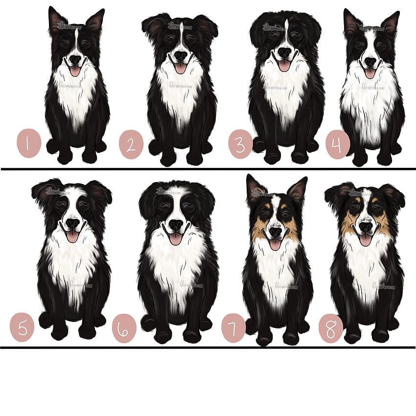 Choose Your BORDER COLLIE Art Print – KT's Canvases HD phone wallpaper