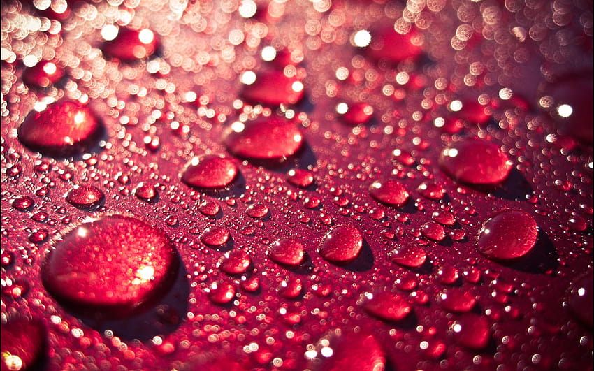 Water Drop & Dew Drops, beautiful rain drops with quotes HD wallpaper