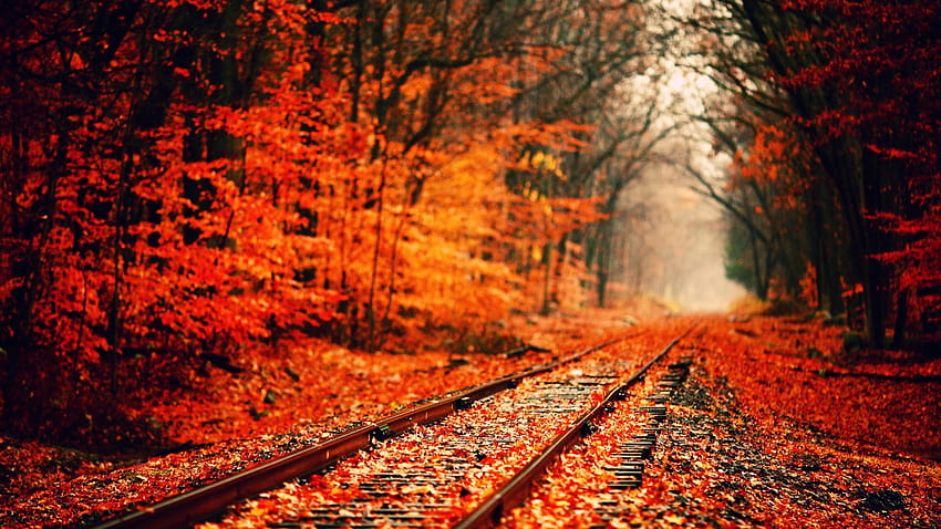 1 Autumn Mac HD wallpaper | Pxfuel