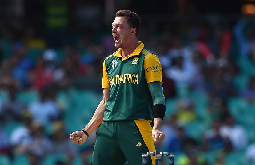 Why Dale Steyn can't get a game HD wallpaper