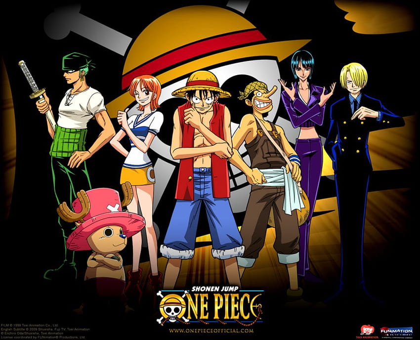 One Piece And Backgrounds, one piece characters HD wallpaper
