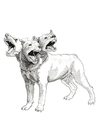 Cerberus Hellhound Mythological Three Headed Dog Stock Vector Royalty  Free 1568631235  Shutterstock