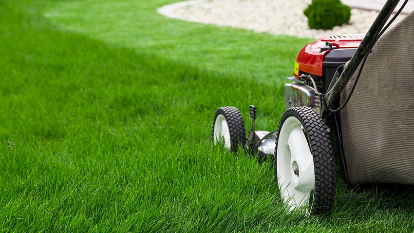 Best Mowing Practices, lawn mower HD wallpaper