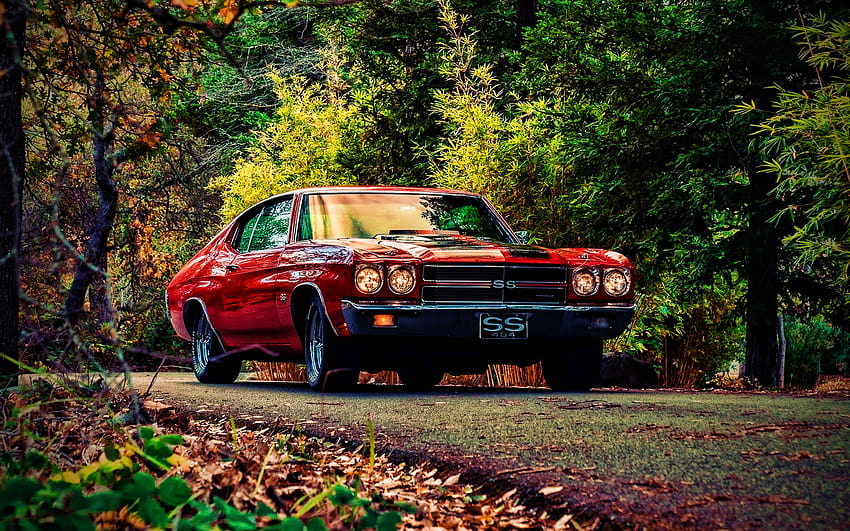 Chevrolet Chevelle SS, road, 1968 cars, muscle cars, retro cars, 1968 Chevrolet Chevelle, american cars, Chevrolet with resolution 1920x1200. High Quality HD wallpaper