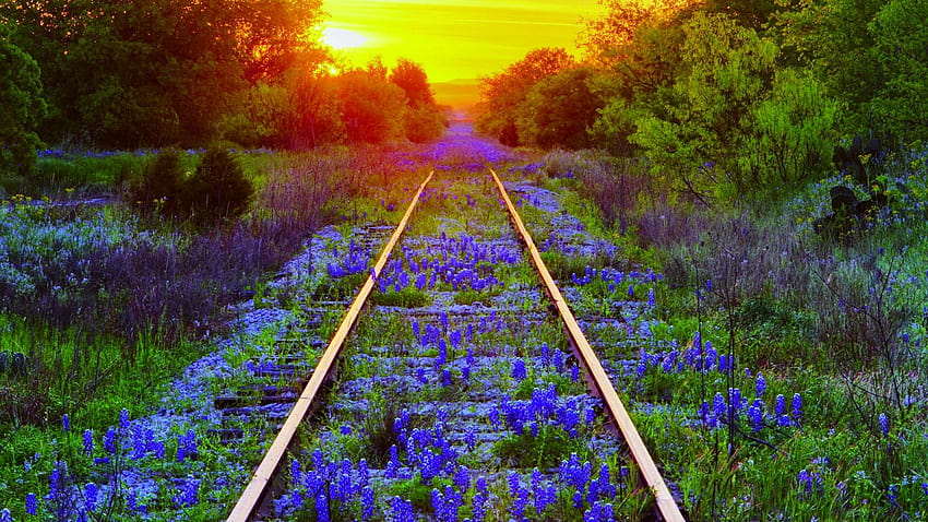 beautiful railway track wallpaper