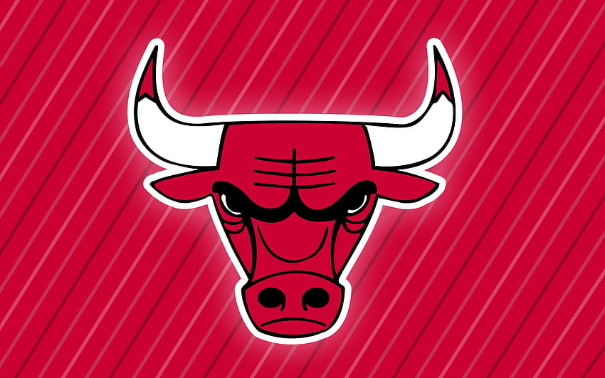 Chicago Bulls Chicago Bulls [1920x1200] for your , Mobile & Tablet, chicago bulls logo HD wallpaper