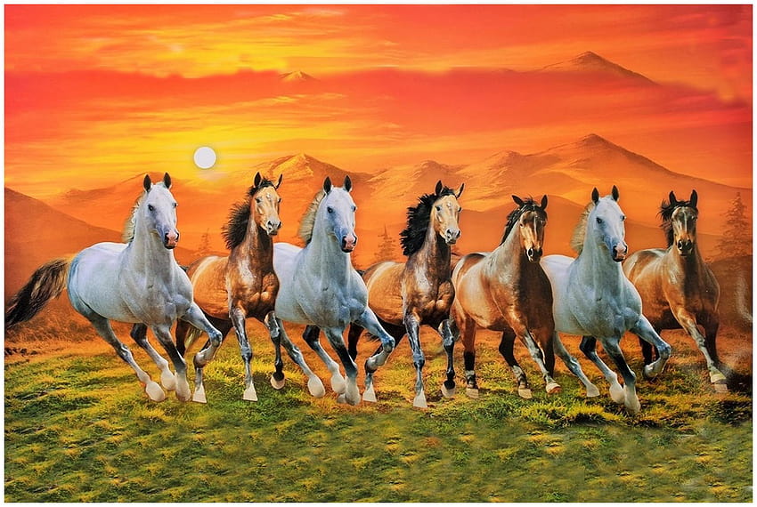 Cavalos de corrida com armação, 7 cavalos de corrida pretos papel de parede HD