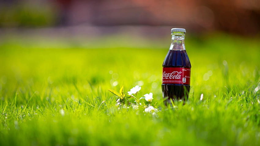 Selective focus graph of person holding Coca, cold coca cola coke bottle HD wallpaper