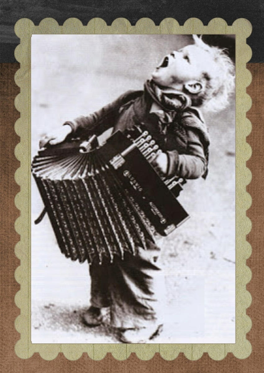 stock of accordion, boy, child HD phone wallpaper