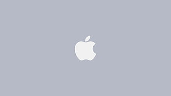 White apple 1080P 2K 4K 5K HD wallpapers free download  Wallpaper Flare