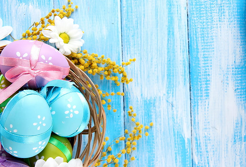 Easter egg acacia dealbata Holidays, blue and silver easter HD wallpaper