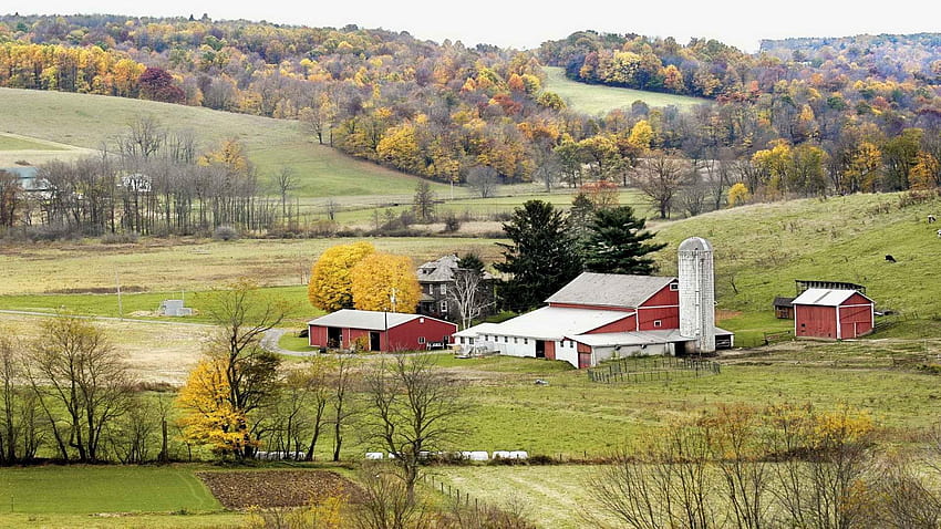 Amish, ohio HD wallpaper | Pxfuel