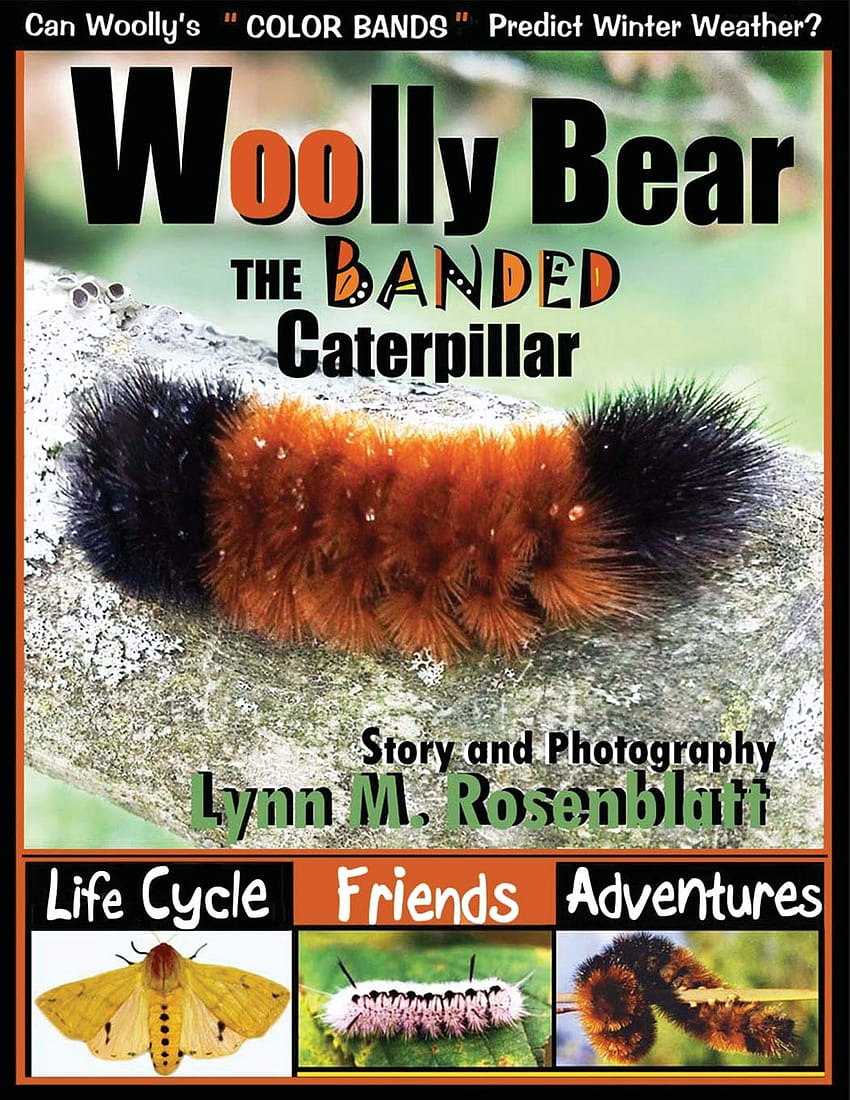 Woolly Bear the Banded Caterpillar: Life Cycle, Friends and Adventures: Rosenblatt, Lynn M.: 9781733473255: Books HD phone wallpaper