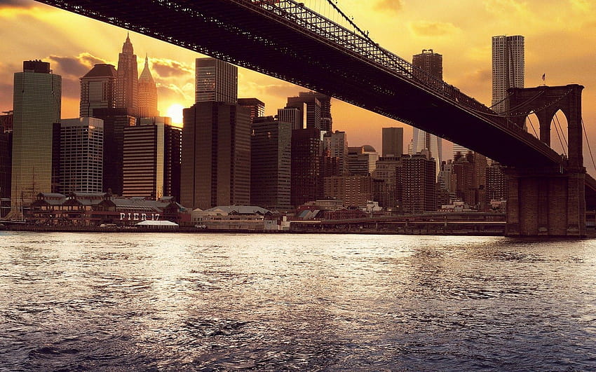 Daily : Pier 17, Brooklyn, New York City, nyc HD wallpaper