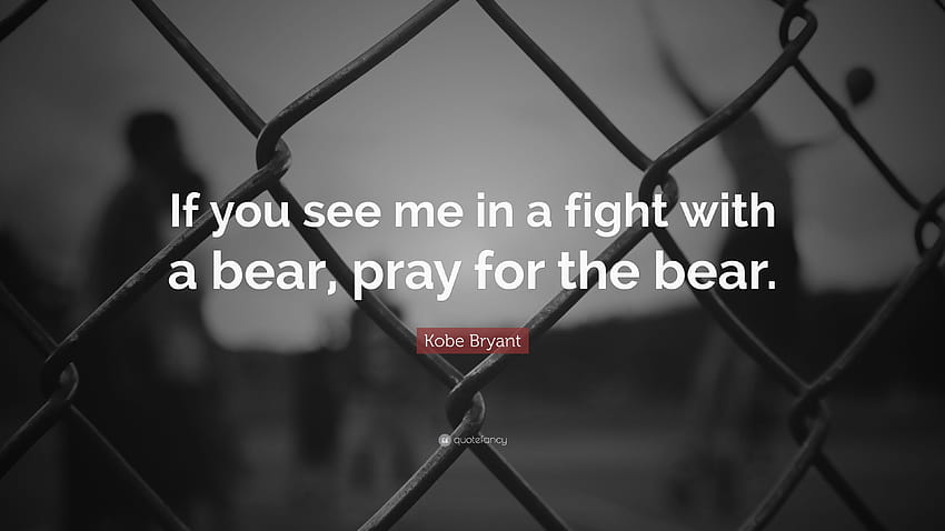 Kobe Bryant คำคม: “ถ้าคุณเห็นฉันต่อสู้กับหมี จงสวดภาวนาเพื่อหมี” จงอธิษฐานเผื่อเหยื่อ วอลล์เปเปอร์ HD