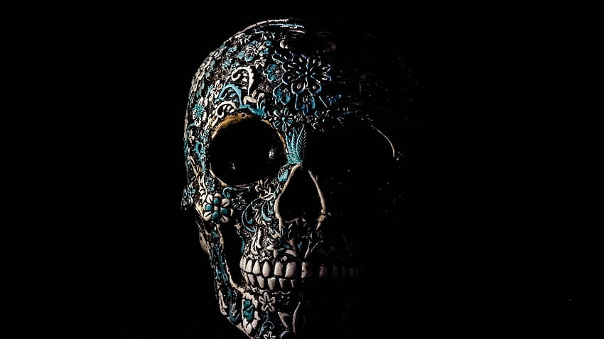 Skull , Human, Skeleton, Black background, Art, Graphics CGI, skull full amoled HD wallpaper
