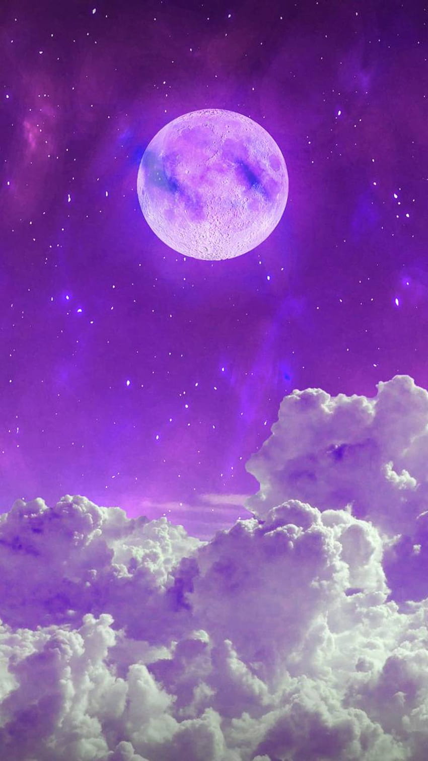 Lila Mond auf Hund HD-Handy-Hintergrundbild